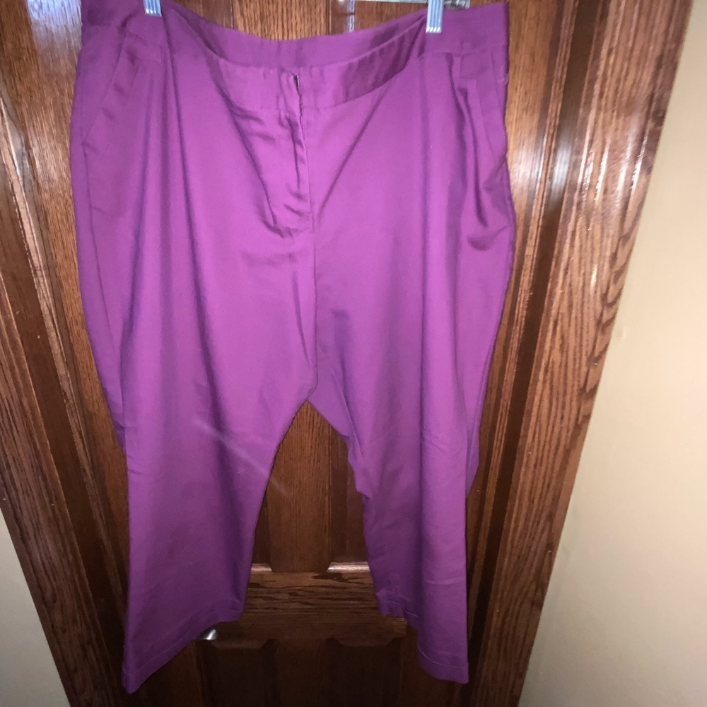 Violet Purple Women’s Dress Pants Lane Bryant Size 20 [LIKE NEW]